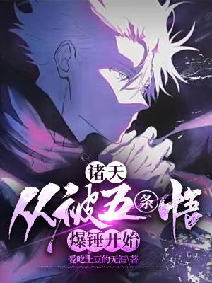 海贼王草帽团介绍