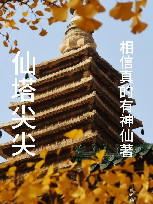 极品世子妃君无非