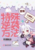 大明之少年天子百科