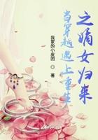 风流医圣电子书免费阅读