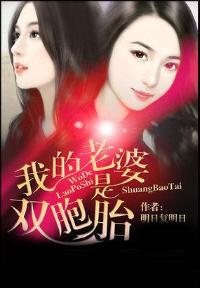 四合院开局娶了