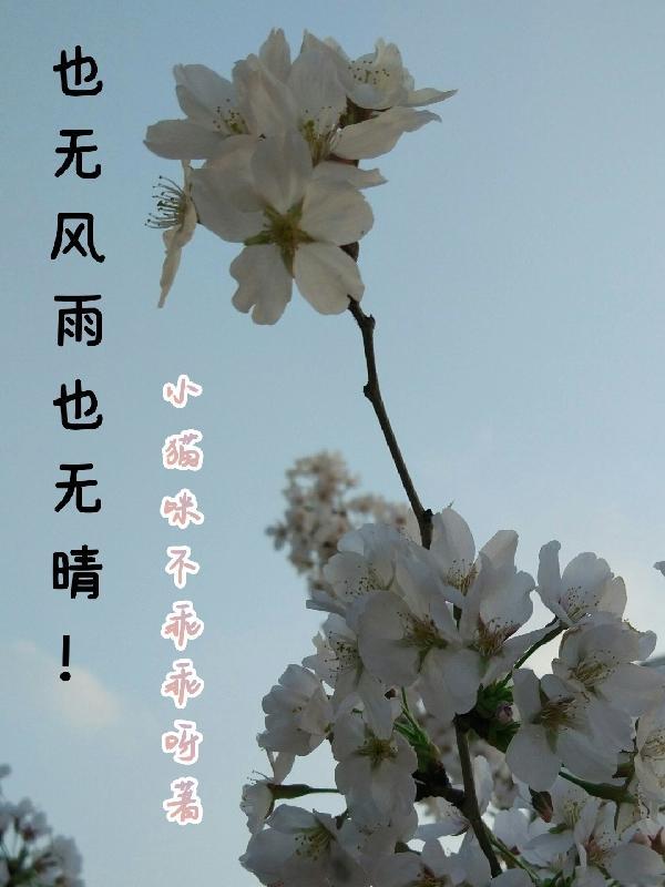 神宠进化笔趣阁无弹窗