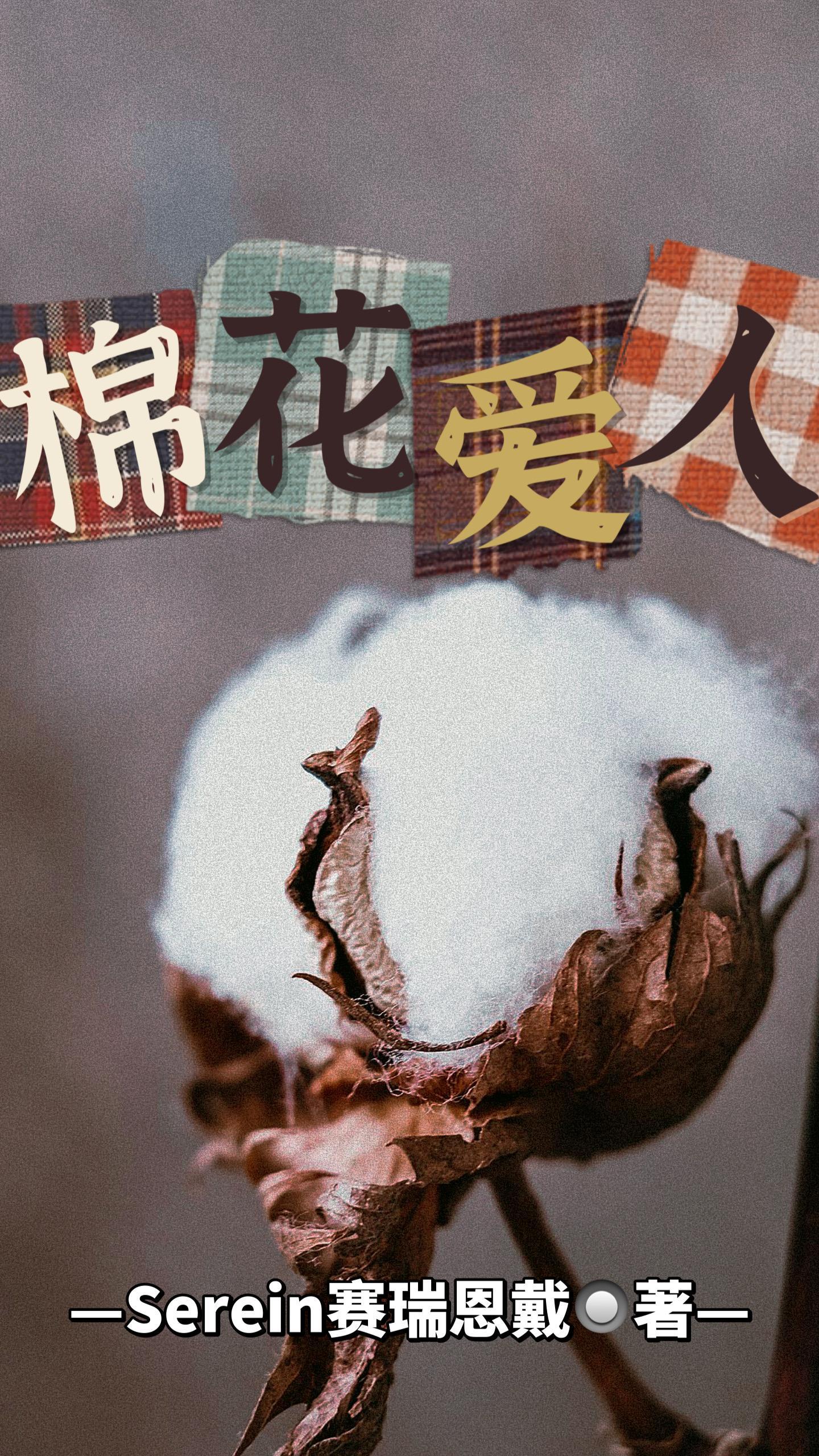 透视医圣林奇林帅