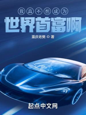 机甲大师是什么意思